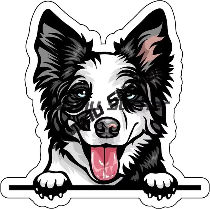 Dessin animé souriant Border Collie chien chiot Doggie autocollant drôle patron Border Collie chien 