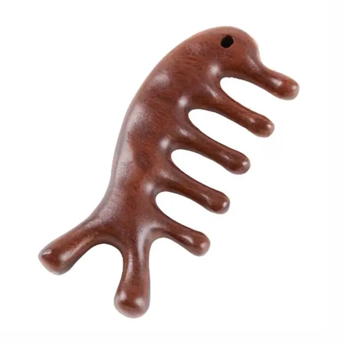 SPA Relaxation Stimulation réflexologie Gua Sha nez grattoir cuir chevelu outil de Massage peigne de