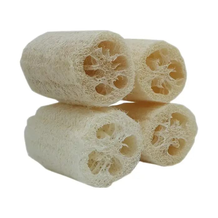 4 pièces/paquet Loofahs organiques Loofah Spa épurateur exfoliant naturel Luffa éponge de lavage du 
