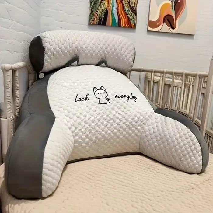 1 oreiller de lecture ergonomique avec support dorsal réglable