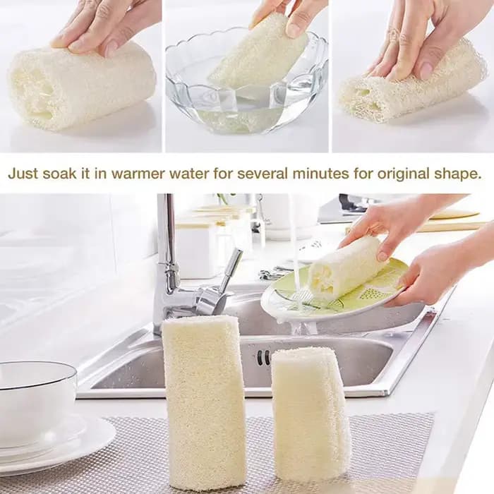 4 pièces/paquet Loofahs organiques Loofah Spa épurateur exfoliant naturel Luffa éponge de lavage du corps enlever la peau morte fait savon 4 pouces