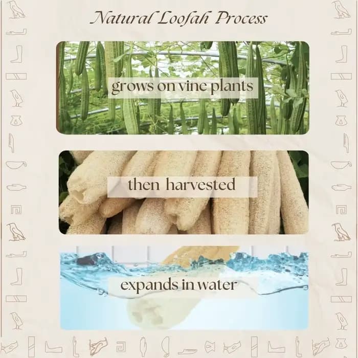 Une douche entière luffa environ 30-40 cm 100% naturel SPA beauté bain éponge corps épurateur bouffée exfoliant Lofa