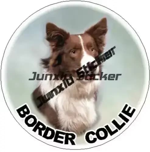 Dessin animé souriant Border Collie chien chiot Doggie autocollant drôle patron Border Collie chien vinyle décalcomanie décoration autocollant accessoires