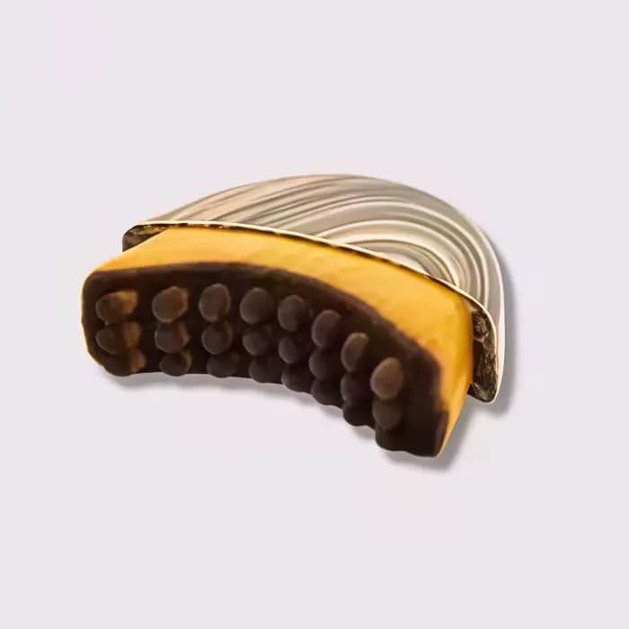 Brosse de massage lymphatique pour le visage et le corps