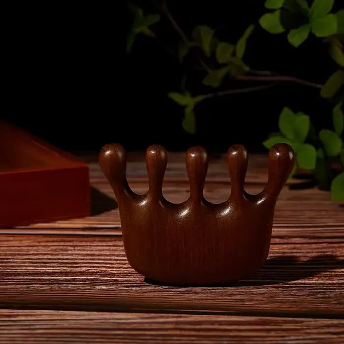 Peigne de Massage thérapeutique en bois