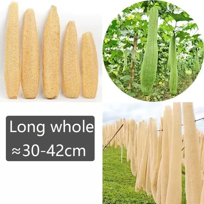 Une douche entière luffa environ 30-40 cm 100% naturel SPA beauté bain éponge corps épurateur bouffée exfoliant Lofa