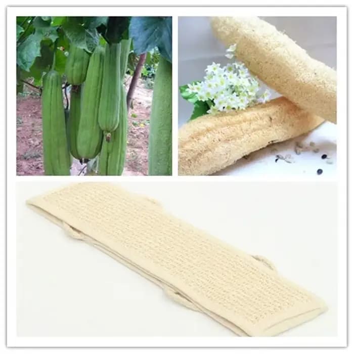Éponge de massage exfoliante douce naturelle en loofah pour le bain et la douche