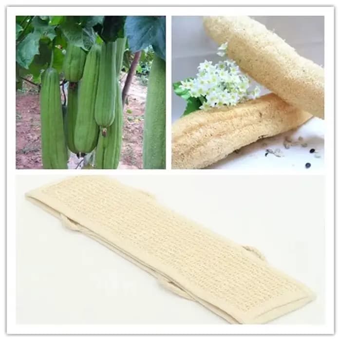 Loofah doux naturel pour le bain et la douche