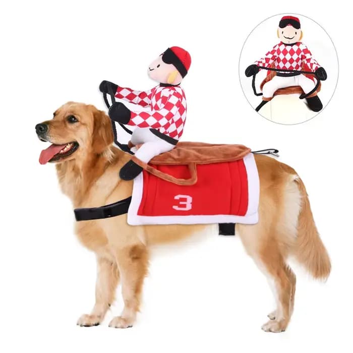 Cape de roi chien d'halloween, Cape mignonne et amusante avec couronne réglable, Cape de roi pour an