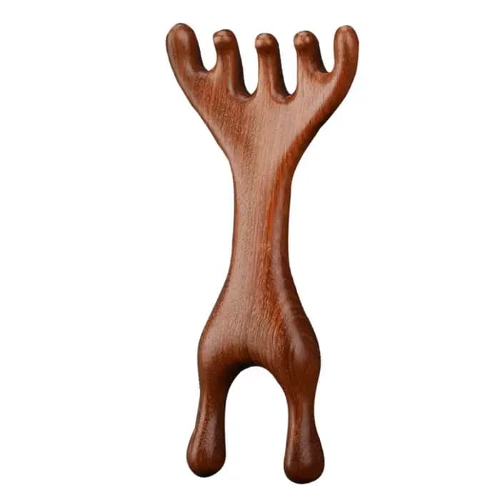 Peigne de Massage méridien corporel à Double tête