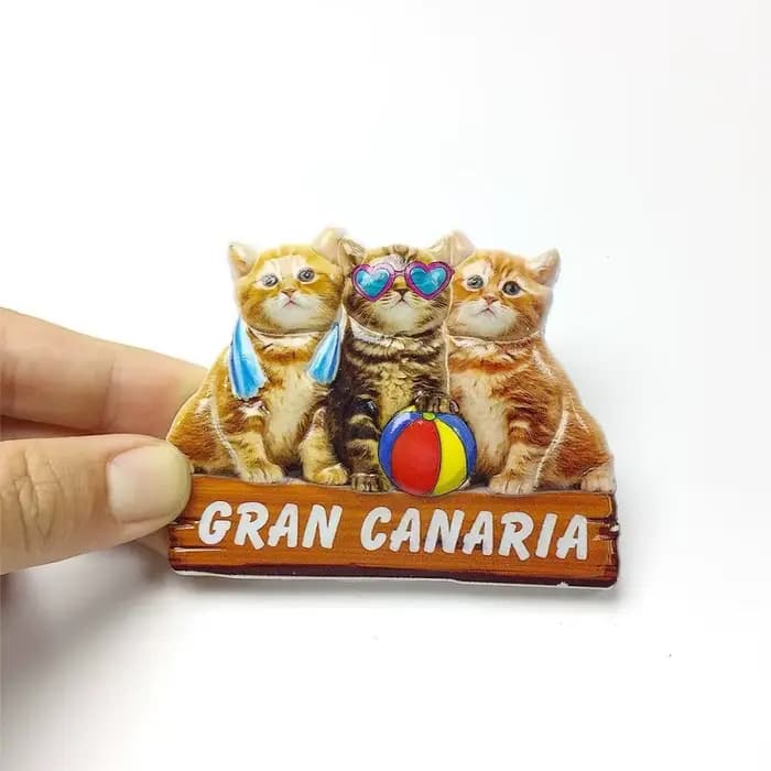 Aimants de réfrigérateur en résine 3D des îles Canaries d'Espagne, Gran Canaria, Lanzarote, souvenir de voyage, décoration de la maison, cadeau