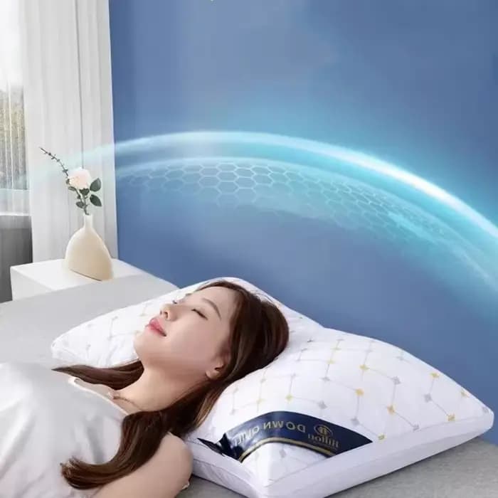 1 oreiller d'hôtel conçu spécifiquement pour la protection de la colonne cervicale et l'aide au sommeil
