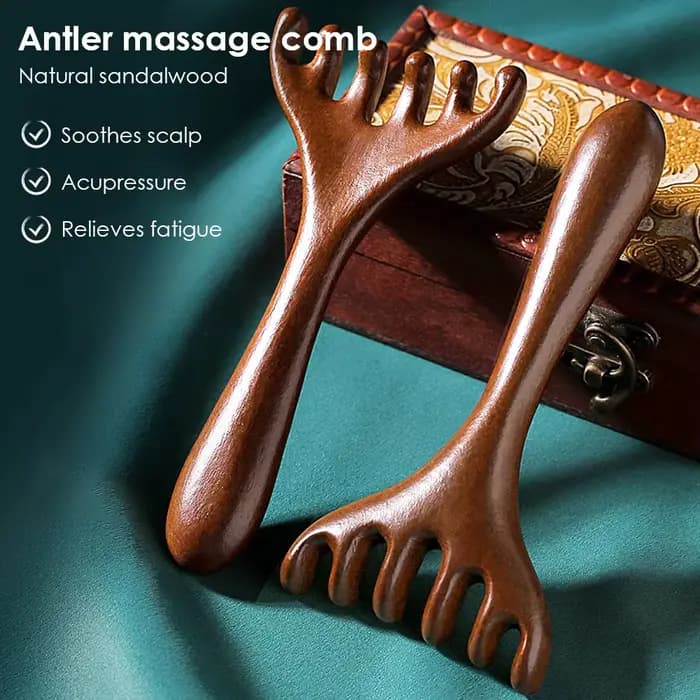 Peigne de Massage méridien à Six griffes