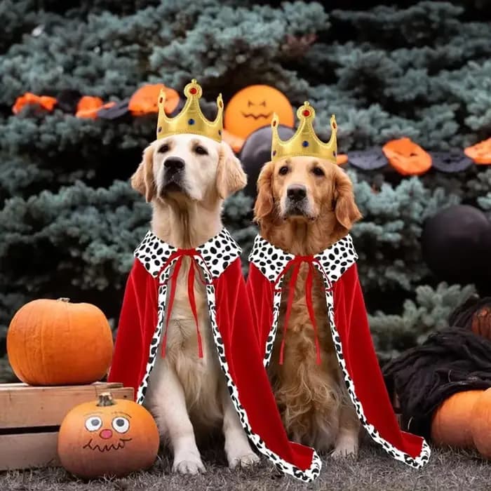 Cape de roi chien d'halloween, Cape mignonne et amusante avec couronne réglable, Cape de roi pour animaux de compagnie pour grands chiens et chats, fournitures de fête Cosplay