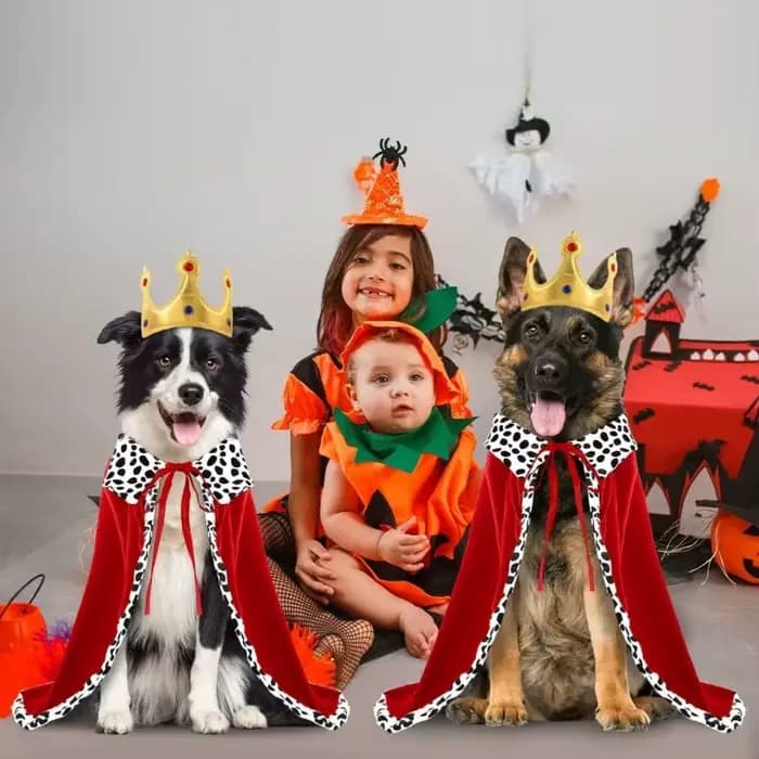 Cape de roi chien d'halloween, Cape mignonne et amusante avec couronne réglable, Cape de roi pour animaux de compagnie pour grands chiens et chats, fournitures de fête Cosplay
