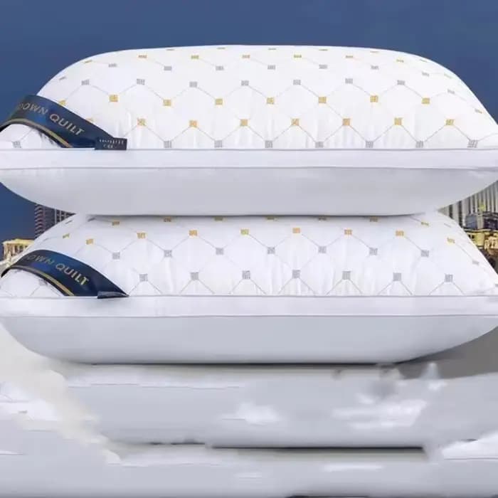 1 oreiller d'hôtel conçu spécifiquement pour la protection de la colonne cervicale et l'aide au sommeil