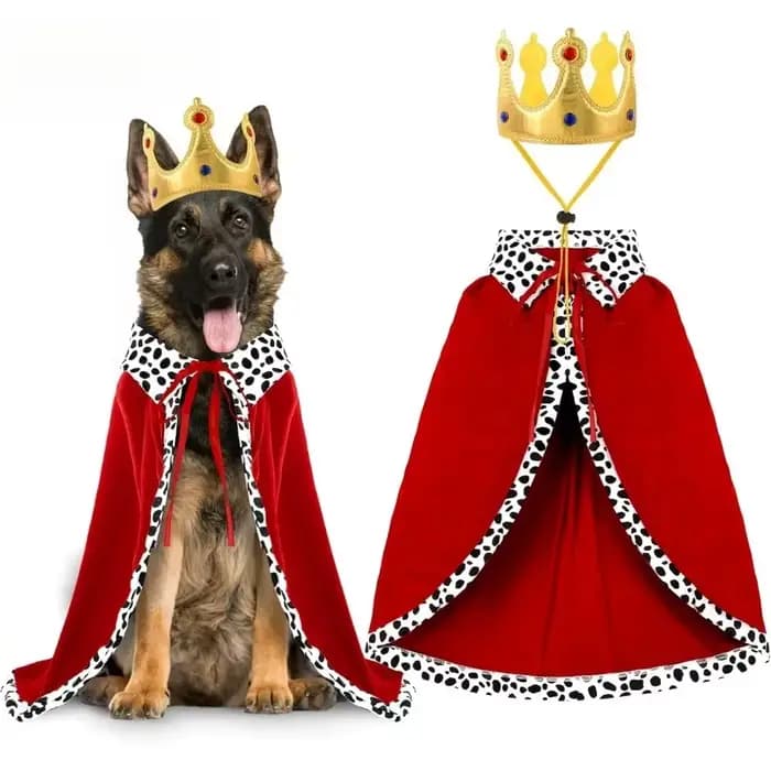 Cape de roi chien d'halloween, Cape mignonne et amusante avec couronne réglable, Cape de roi pour animaux de compagnie pour grands chiens et chats, fournitures de fête Cosplay