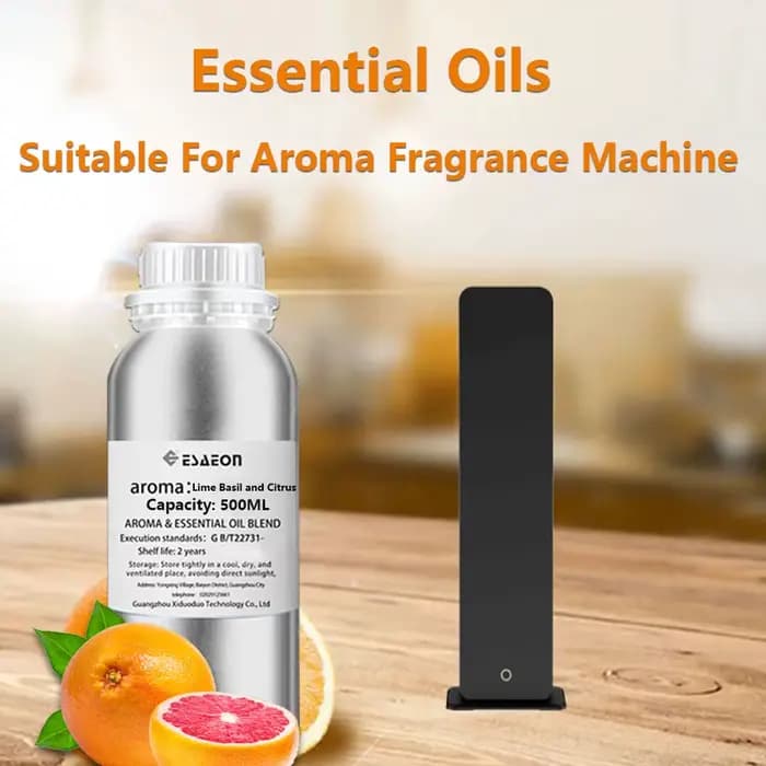 ESAEON 500ml (16.9 fl.oz) Huiles Essentielles Miss Coco/Wild Bluebell - Huile Parfumée pour Diffuseur, Complément pour Machine à Arômes