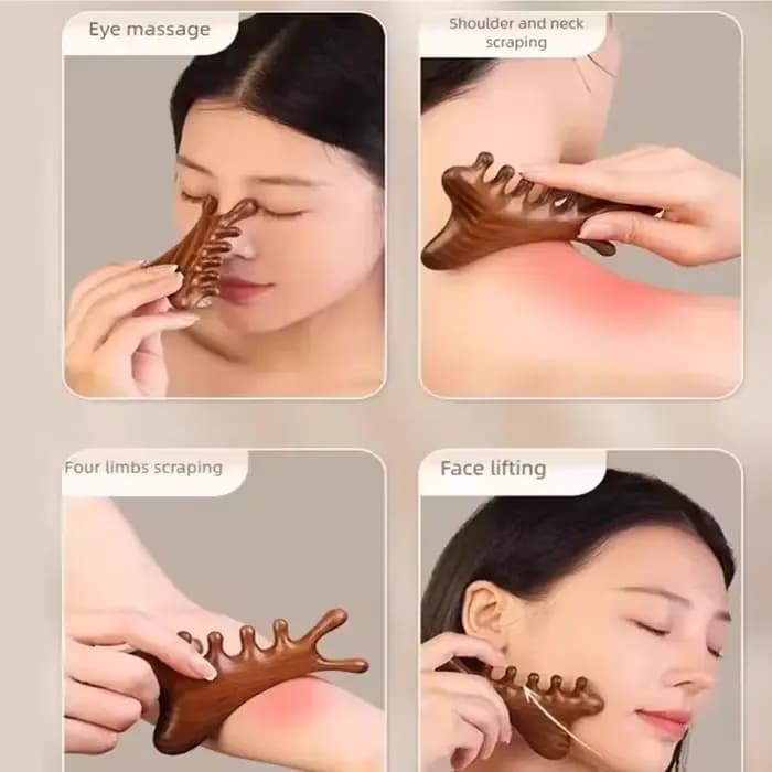 Masseur corporel et crâne